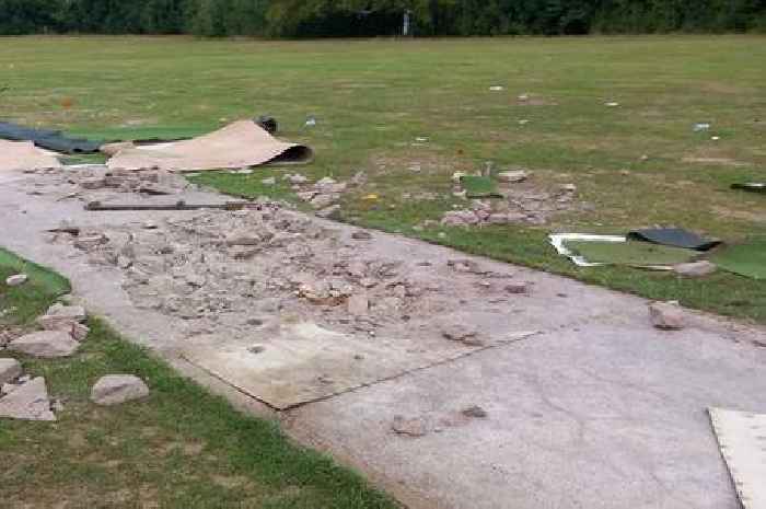 'A proper demolition job' -  Vandals wreck Croydon cricket pitch with park users 'sick of it'
